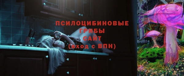 молекула духа Лиски