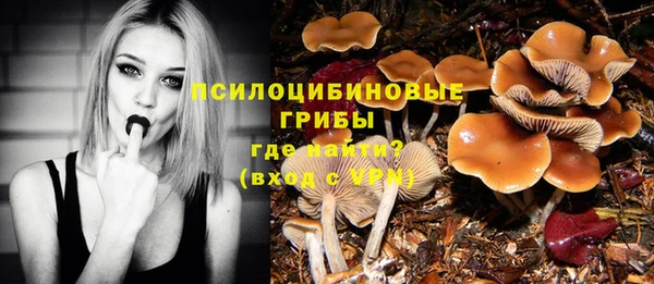 бошки Липки