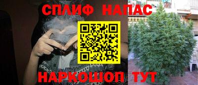 тгк Пугачёв