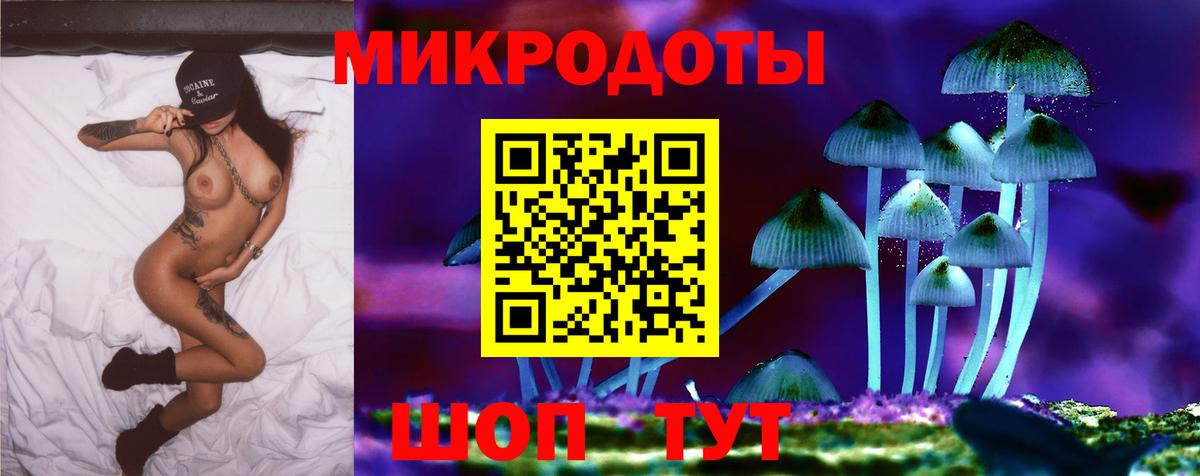 Псилоцибиновые грибы Cubensis Хасавюрт